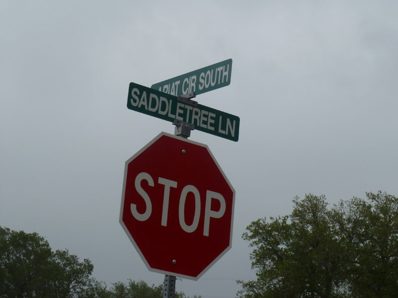 saddletree lane dripping springs